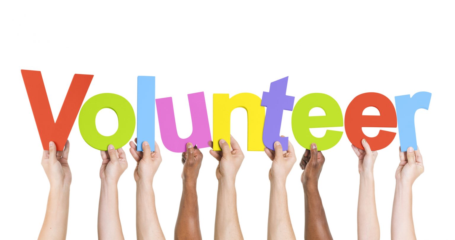 Somerset Council Volunteering Opportunities Somerset Volunteering